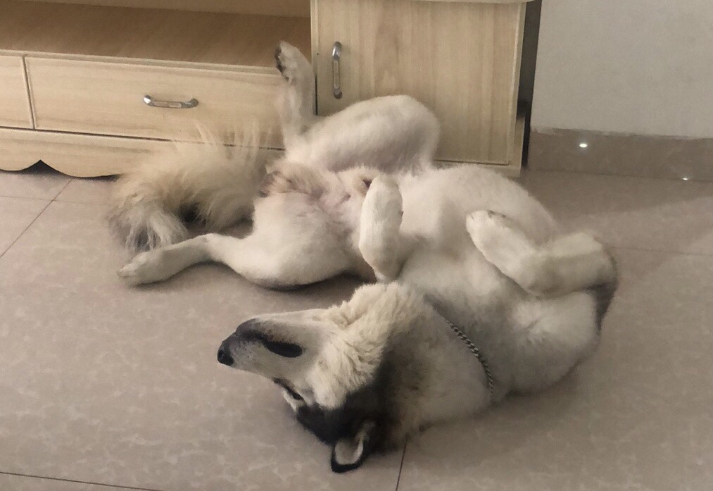 平时还是得运动👀