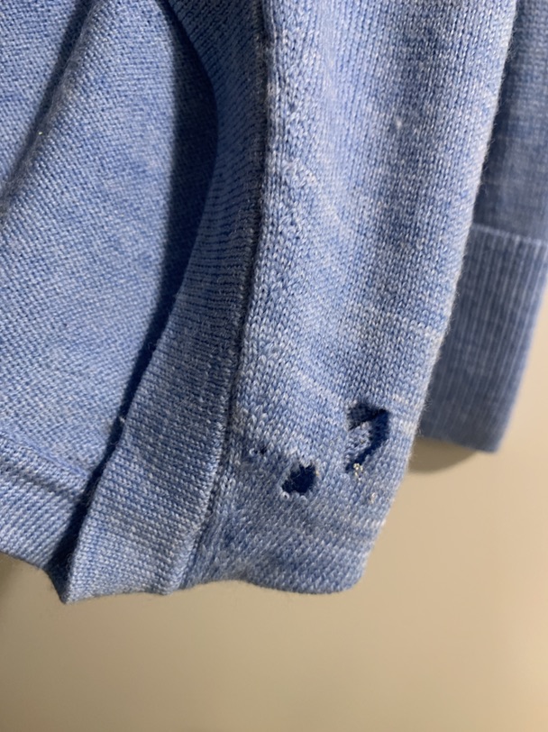 你们都是怎么保存衣服不被虫蛀