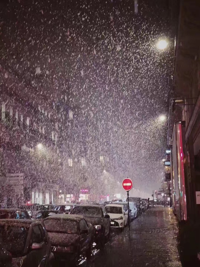 雪景