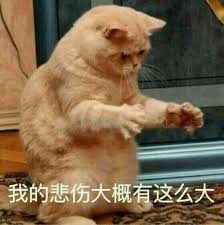 探亲签证什么时候能开放啊