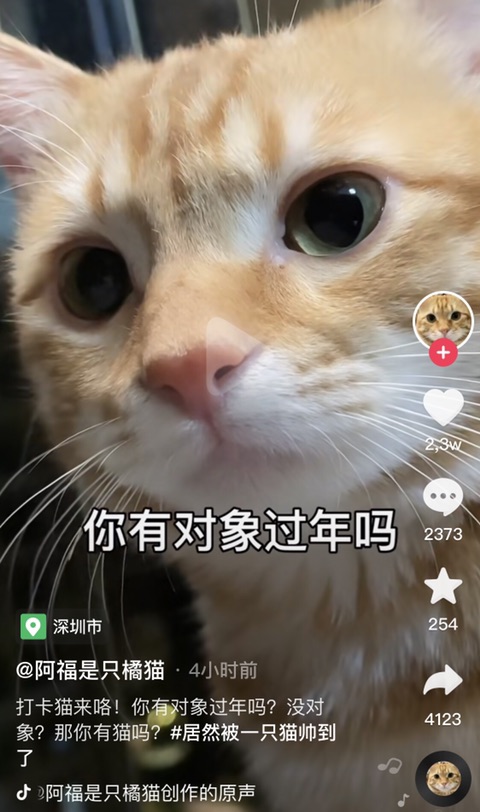 这是一条带语音的好物👀