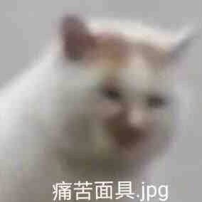 求助 chronopost包裹被冒牌签收怎么办