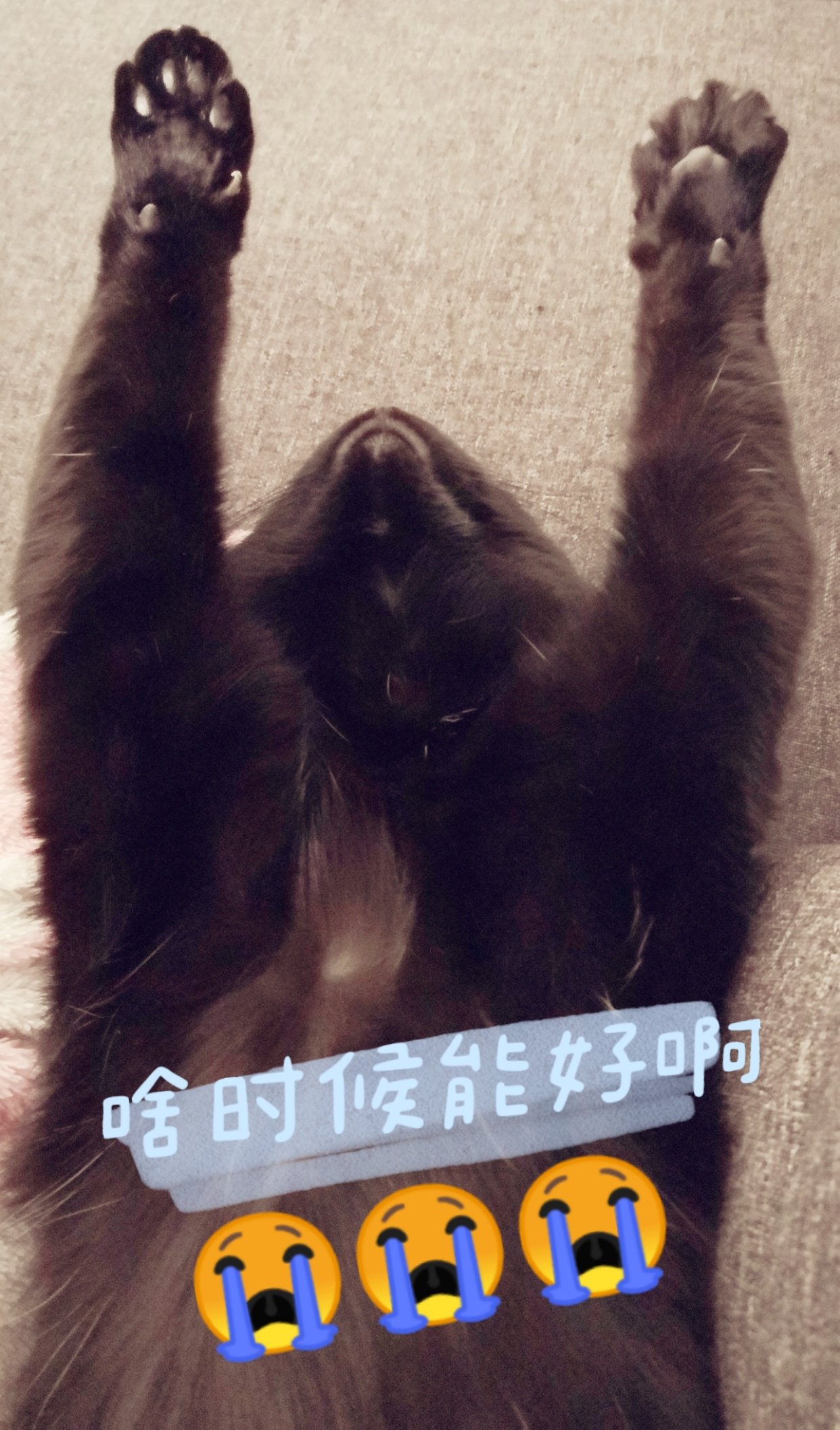 哎 这是个丧气文... 