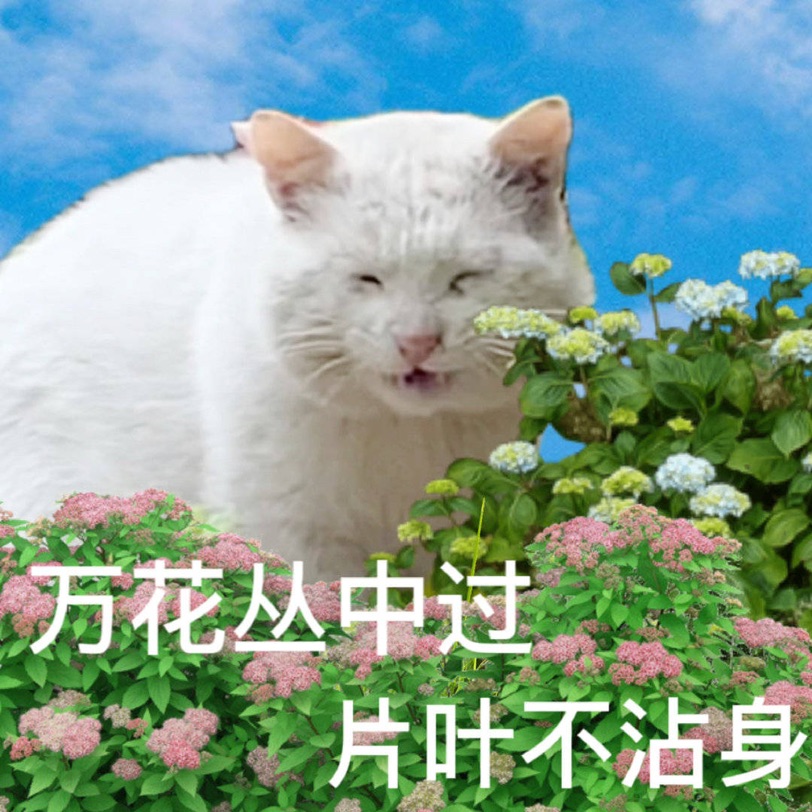 请问大胸美女们你们如何穿露背的裙子