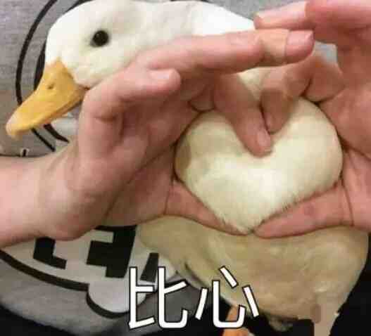 一分钱生日快乐🎂