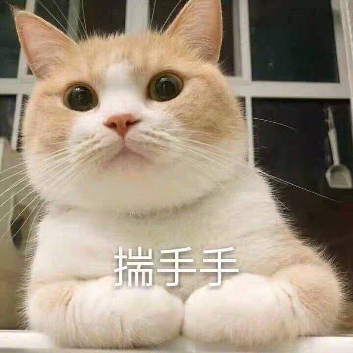学生签证离境退税问题