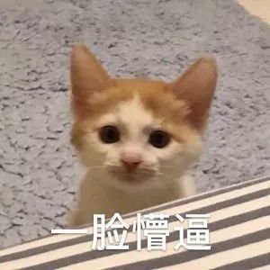 APS转工签动机信