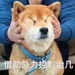 今日份突发奇想
