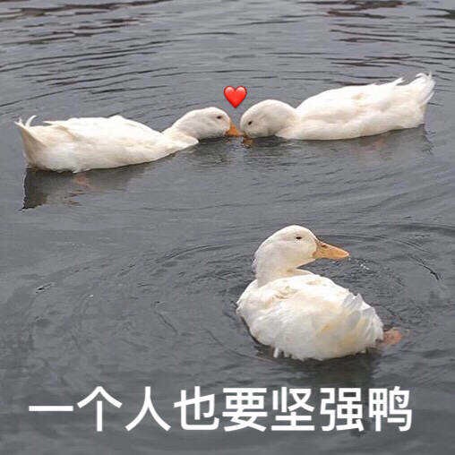 既然如此，七夕有没有约饭的。