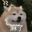 求问一下自由职业怎么关闭账户呢