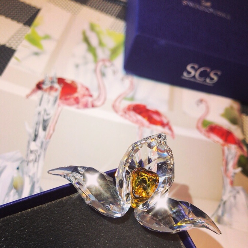 SCS施华洛世奇水晶会✨会员年度礼物