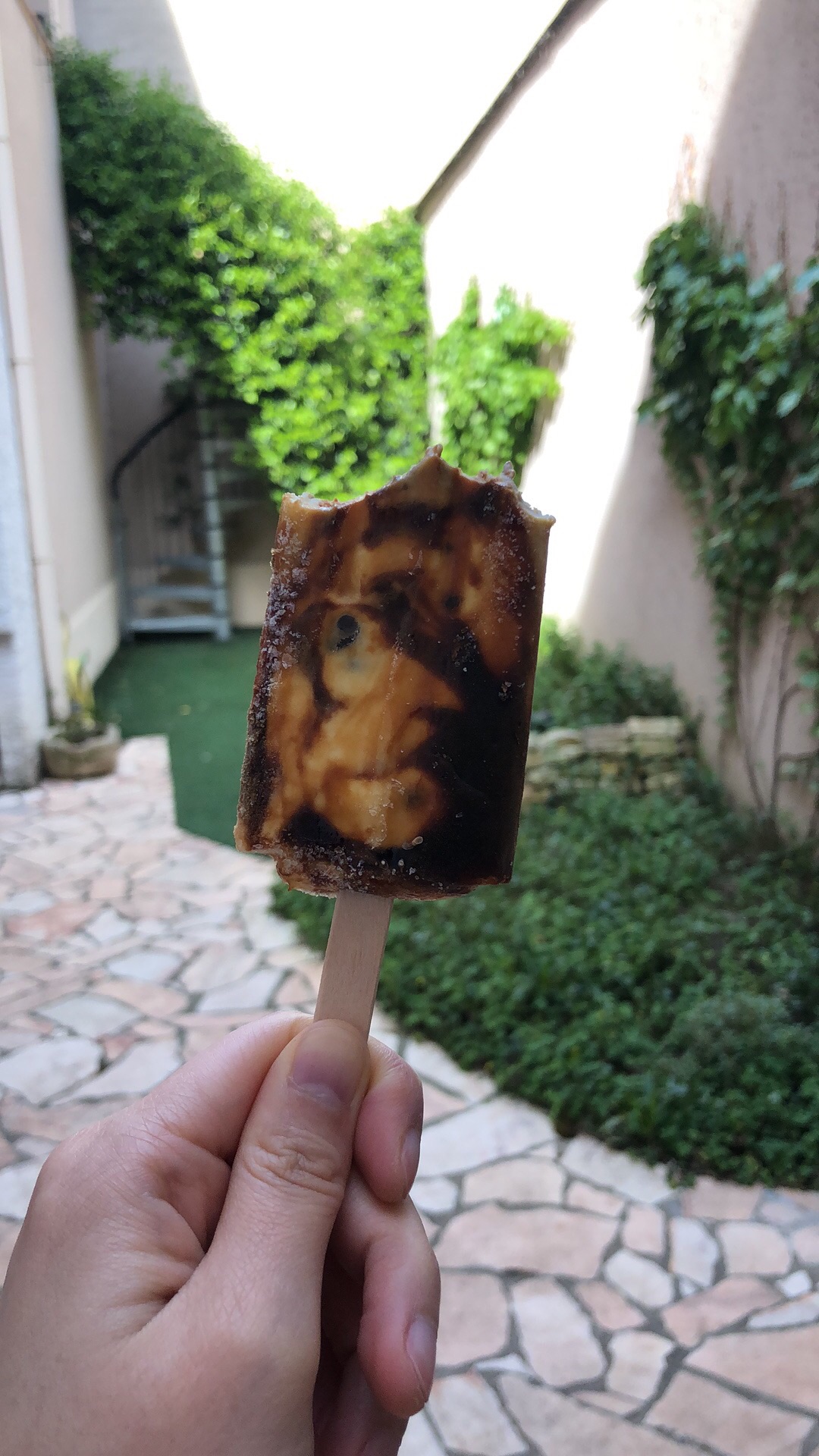 感觉夏天到啦