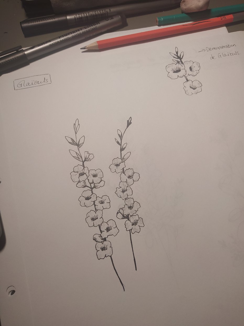 小时候的夏天，小时候的兰花