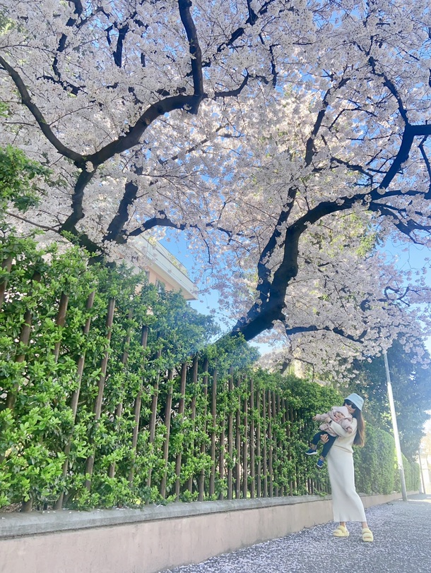 初春赏樱花啦