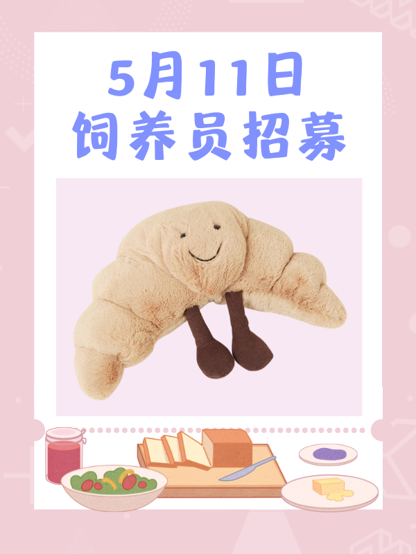 是她是他就是它,我们的羊角面包🥐来啦!