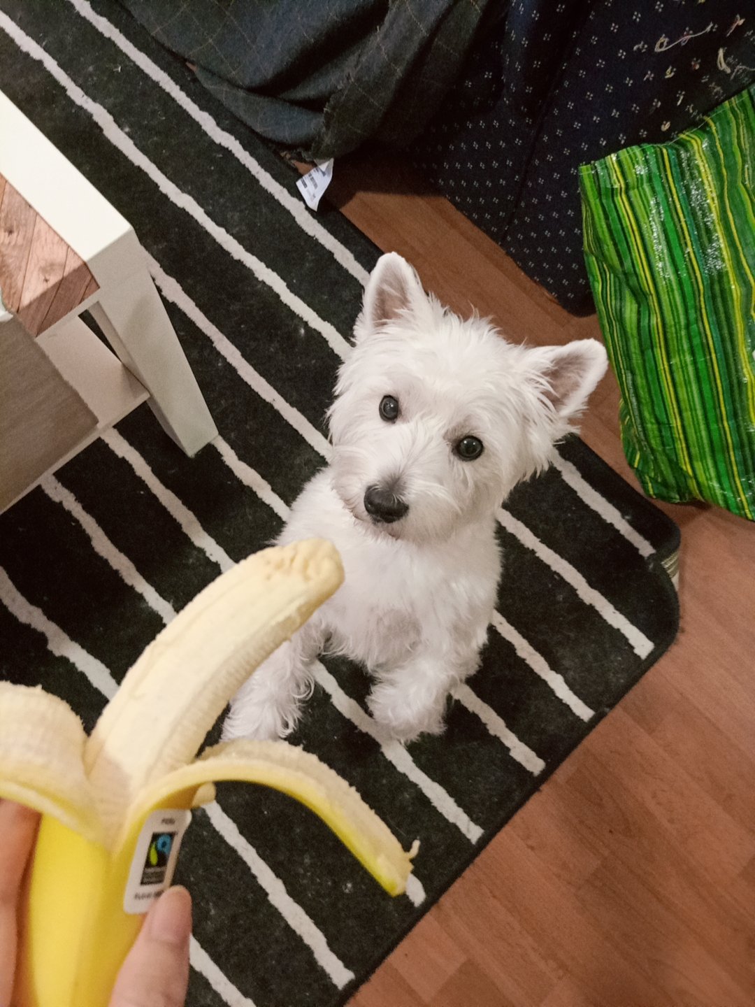 吃banana