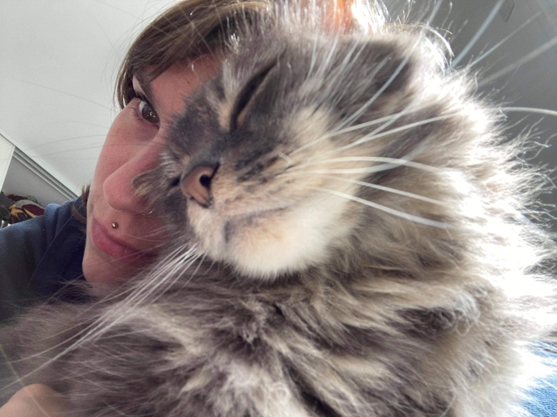 可以遛弯儿的猫咪🐈