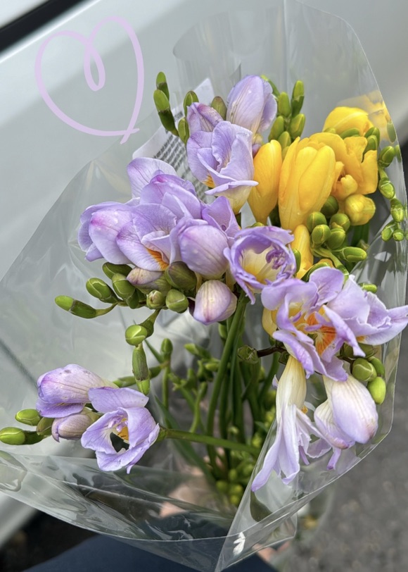 又到了小苍兰的季节💐