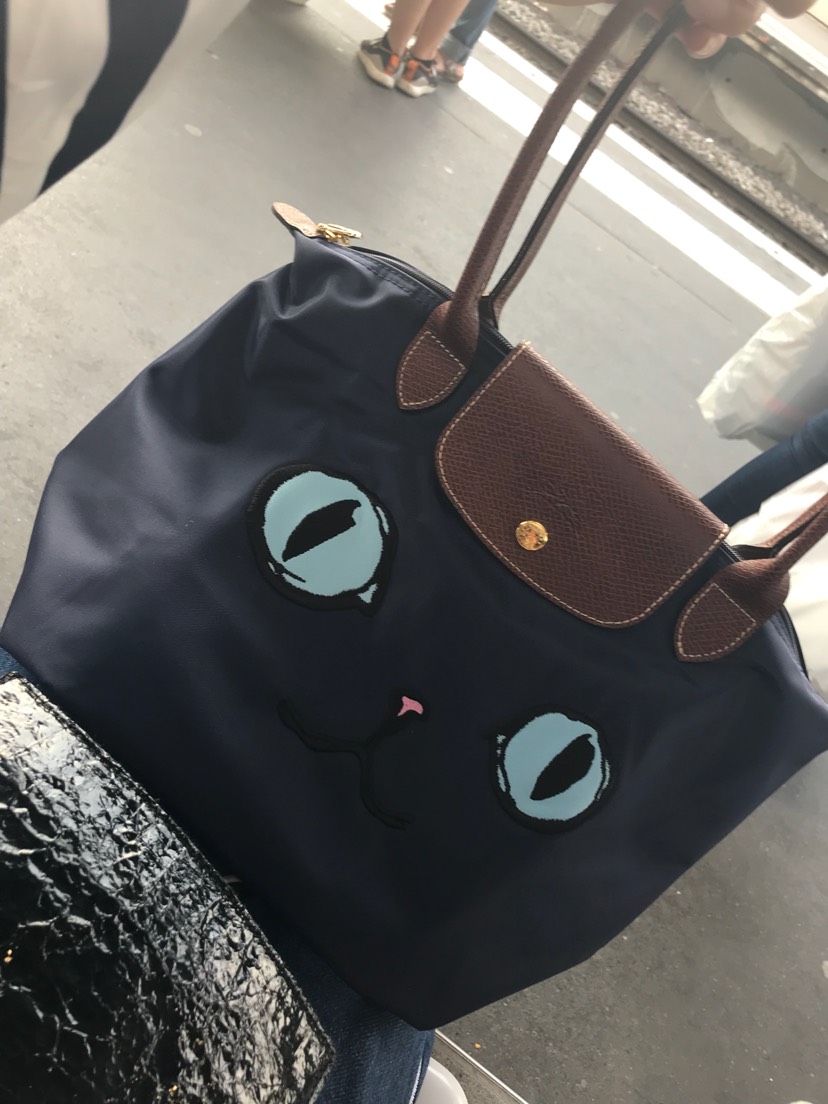 终于找到了猫咪包！