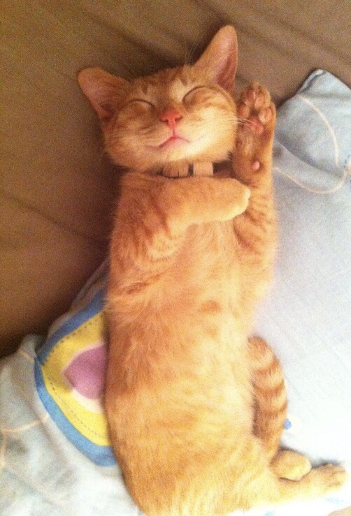 当年的宝宝已经步入老年