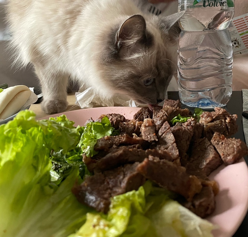 可以吐槽一下一分钱爸爸吗？