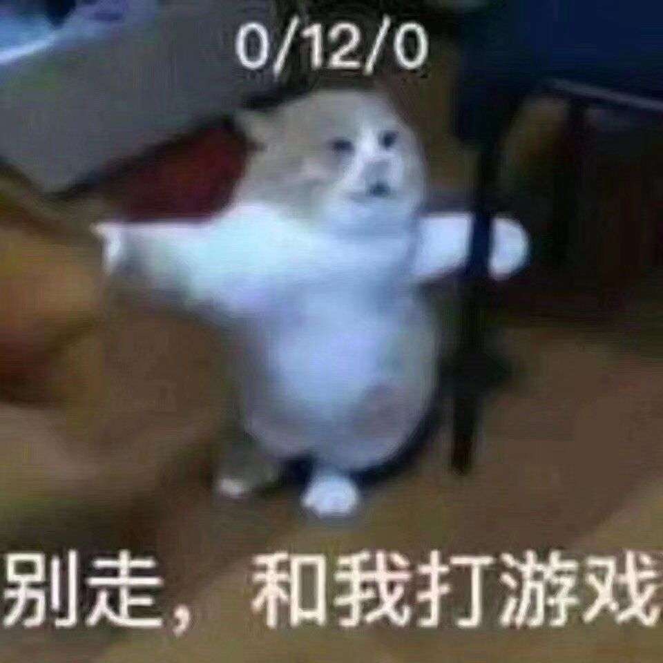 刷了个碗