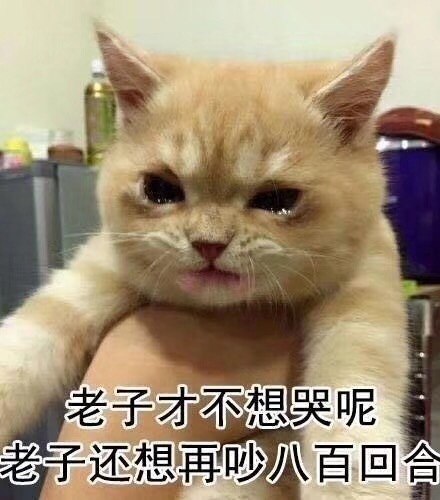 求种草安耐晒小金瓶替代!