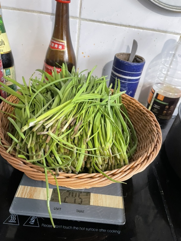 韭菜韭菜割阿割