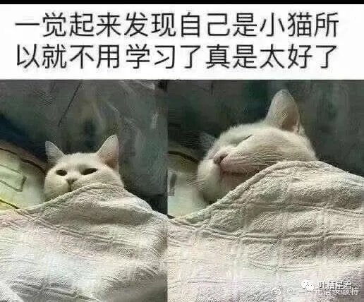 求队友组队打卡