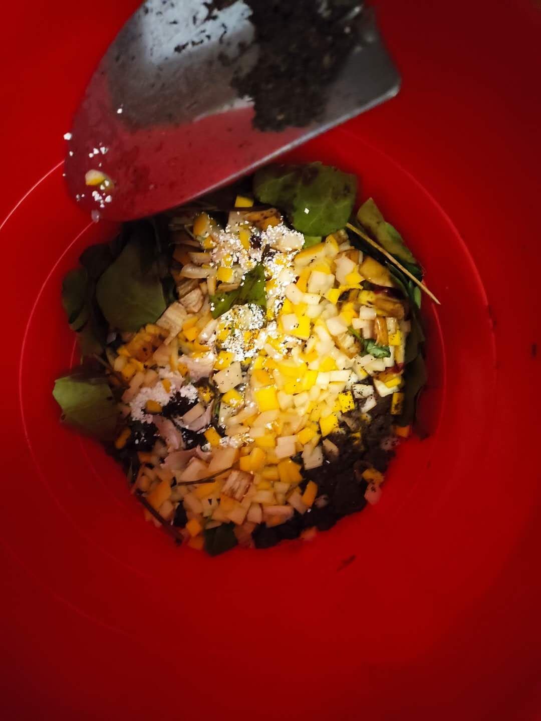 成功堆肥两次，一点点经验给绿植新手们