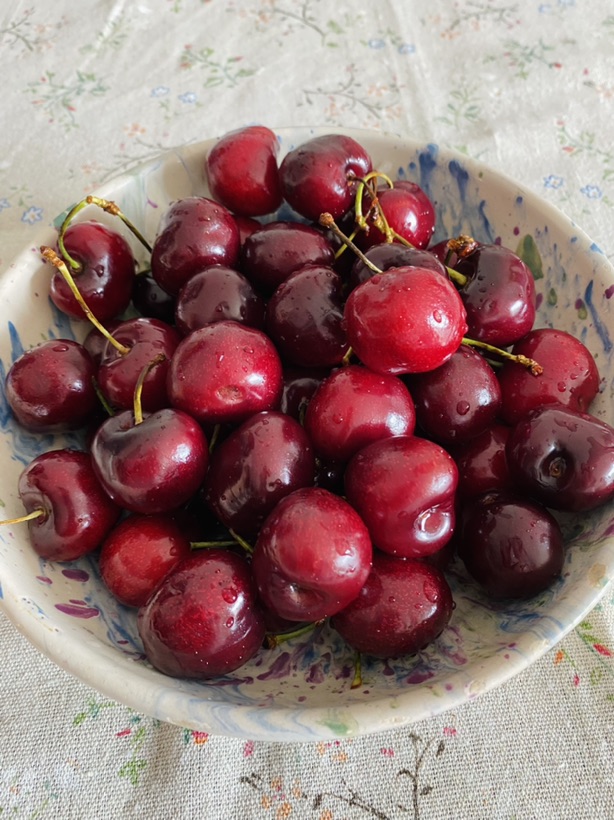 终于不用眼馋邻居院子里的大樱桃🍒