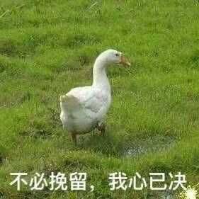 关于脱毛