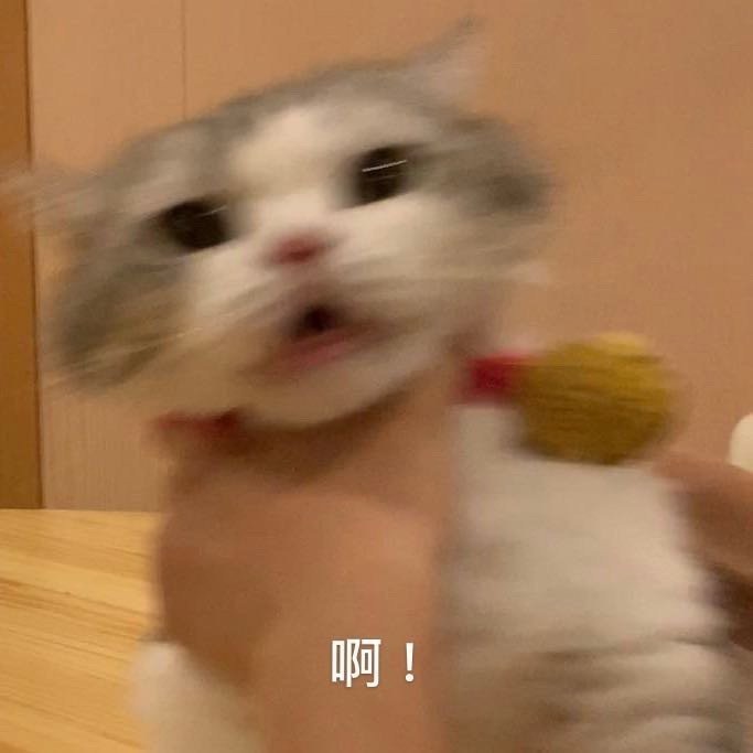 le bon marche 美妆会打折吗