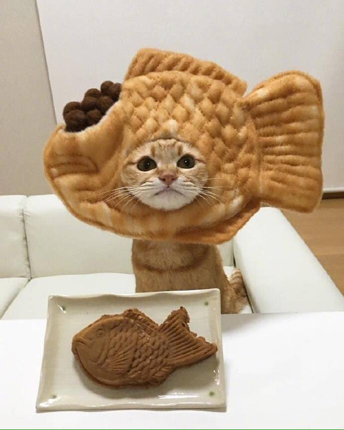 求助