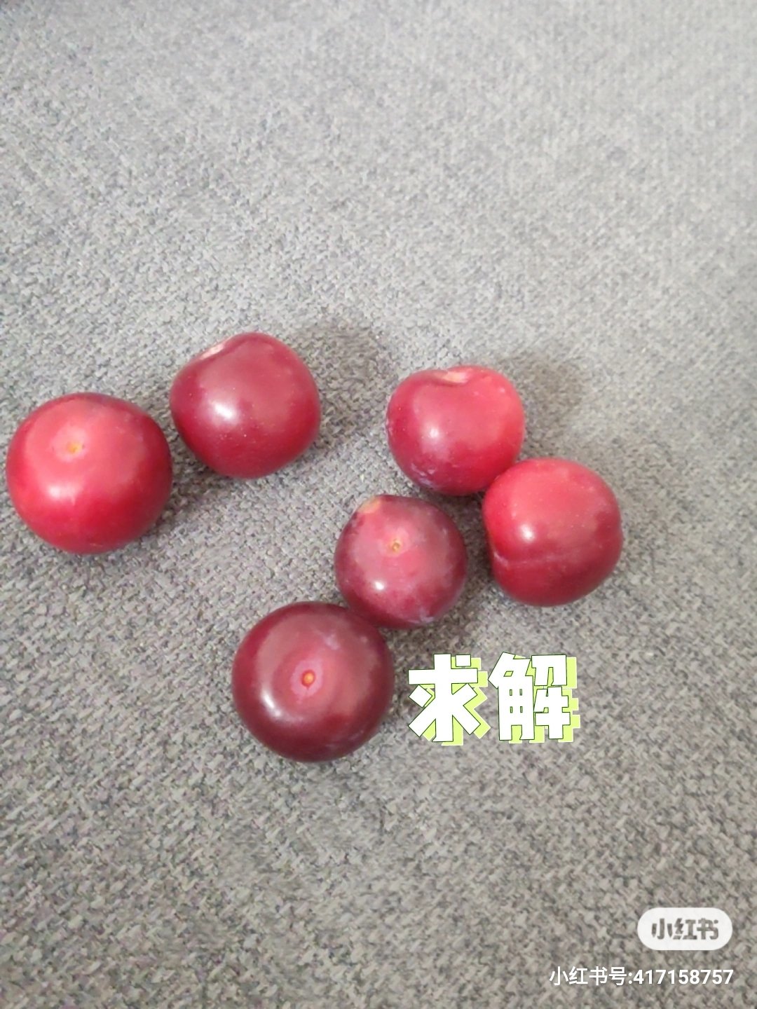 这种是野李子吗？