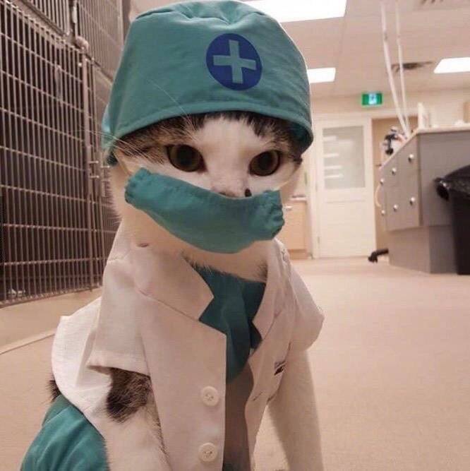 超龄少女想要打hpv疫苗