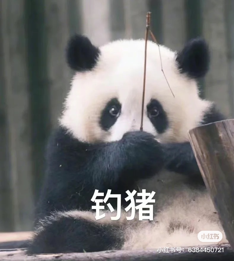 电信倒闭如果没法及时换供应商咋办啊QAQ