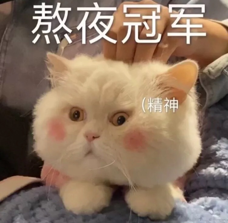 巴黎哪里能买到划算的隐形眼镜呀？