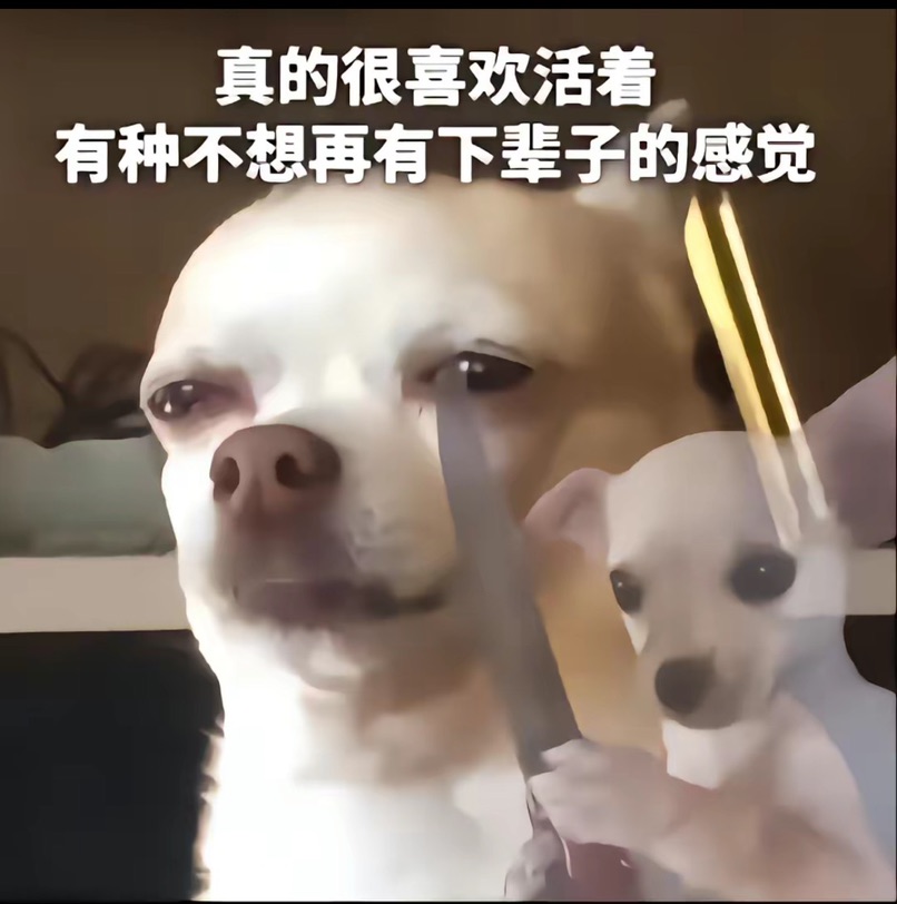 疑似封闭环境吸🌿？？