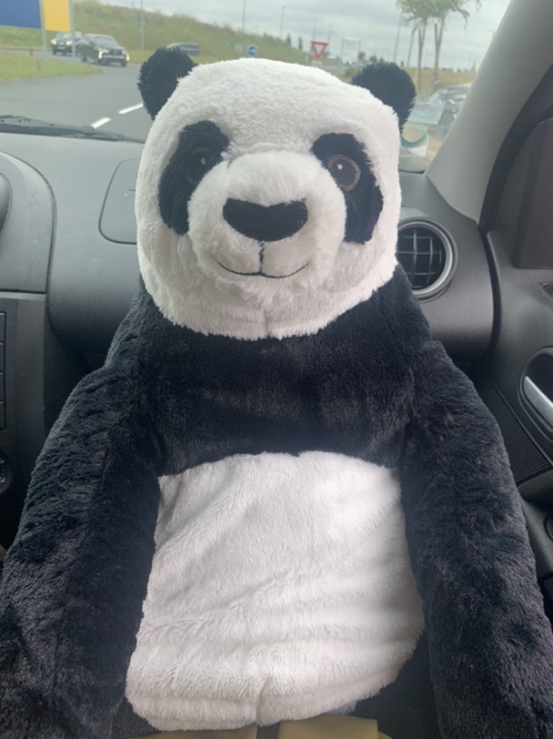 10欧大熊猫🐼