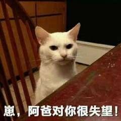 娇韵诗包裹被退回