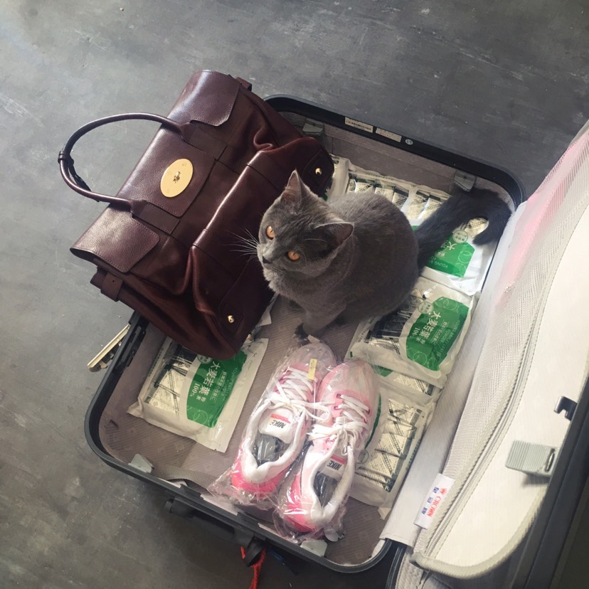 能不能也带我一起走😔🐾🐾