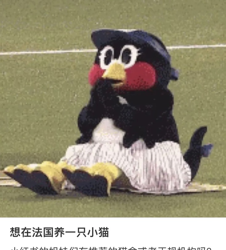 学生签证换APS或者工作签证问题？