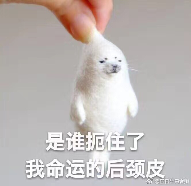 珐琅锅