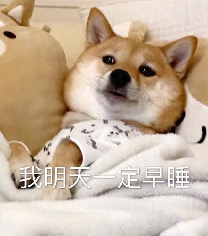 实习面试问题