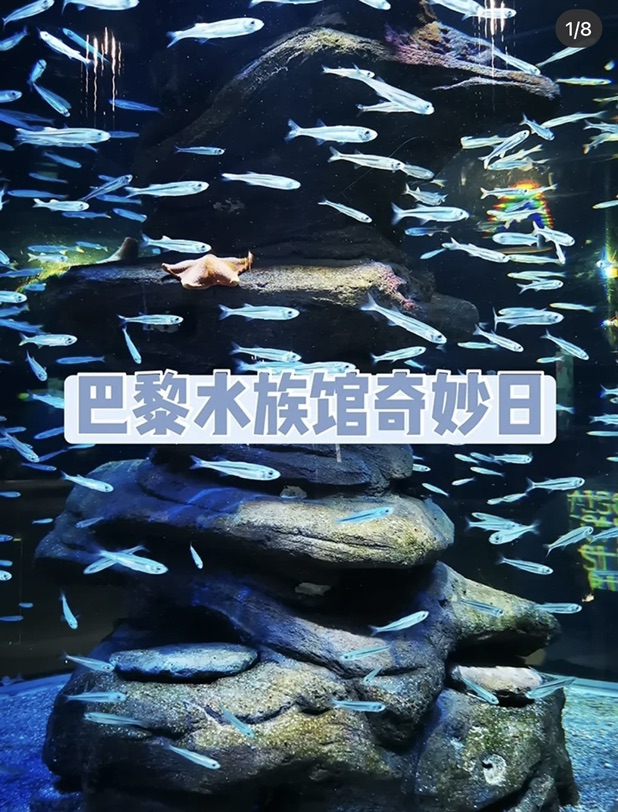 不懂就问,巴黎水族馆有没有集美想一起去!