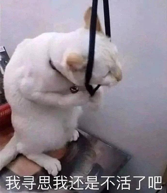回国机票