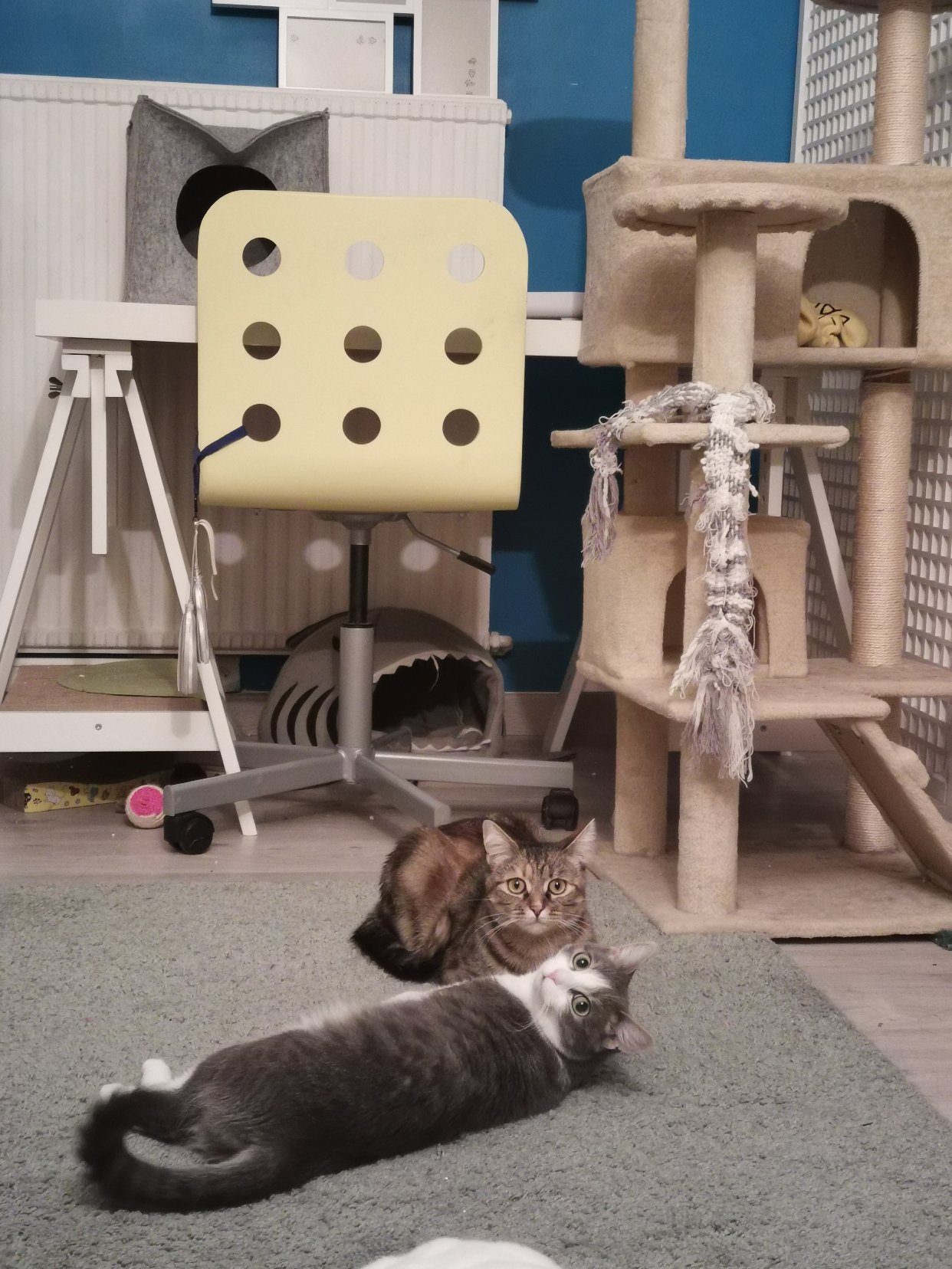 前两天auchan被当面偷了十欧后续