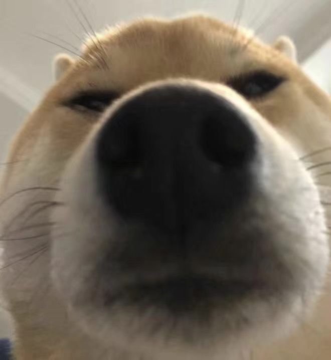 suavina唇膏真的不要买