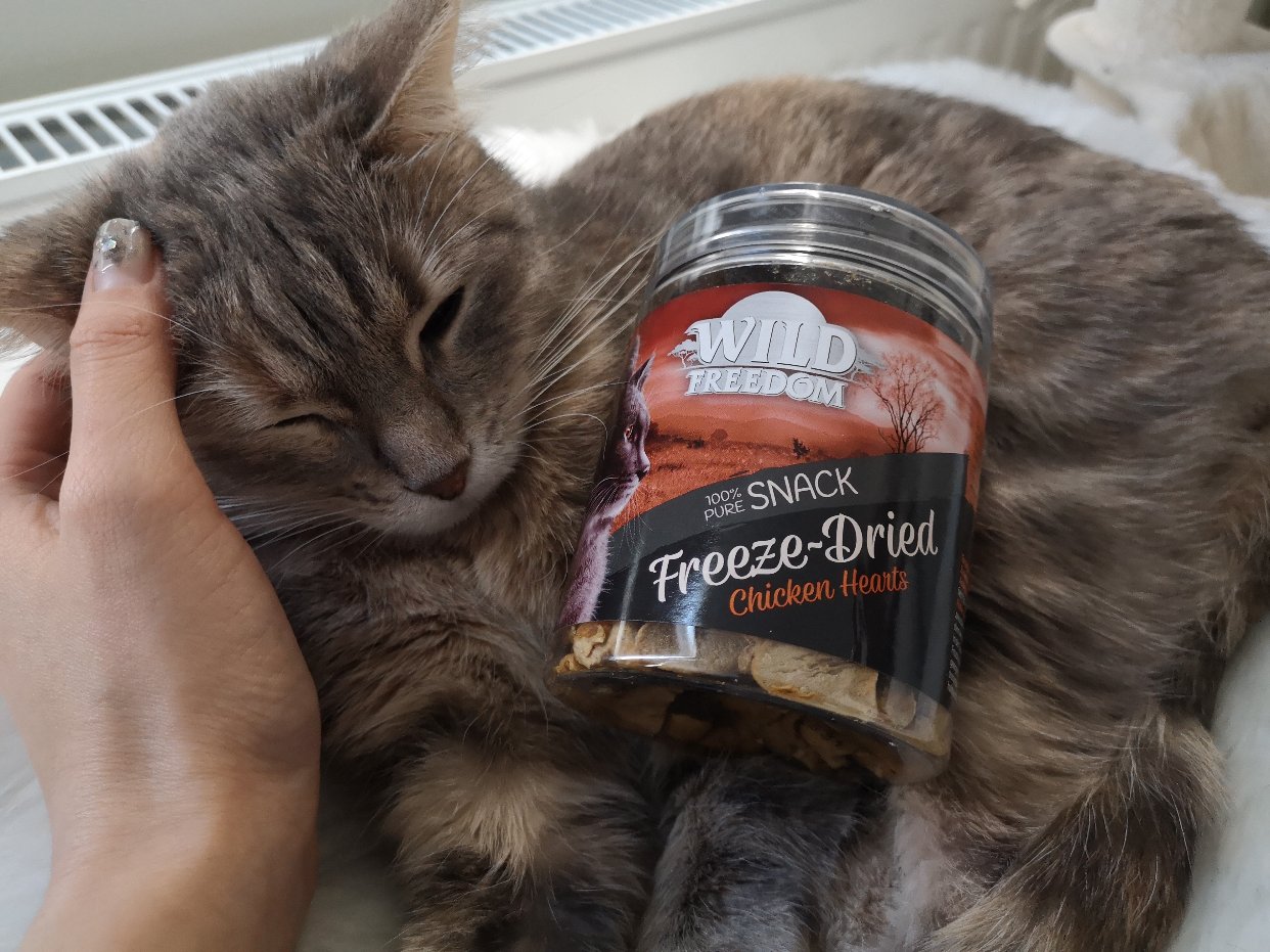 送 猫咪零食:开盖就兴奋的鸡心